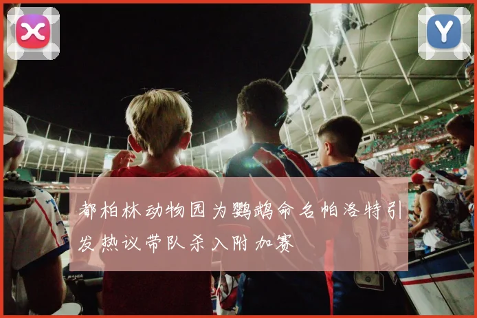 都柏林动物园为鹦鹉命名帕洛特引发热议带队杀入附加赛