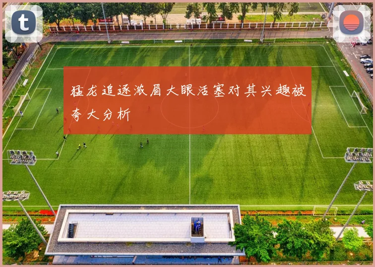 猛龙追逐浓眉大眼活塞对其兴趣被夸大分析