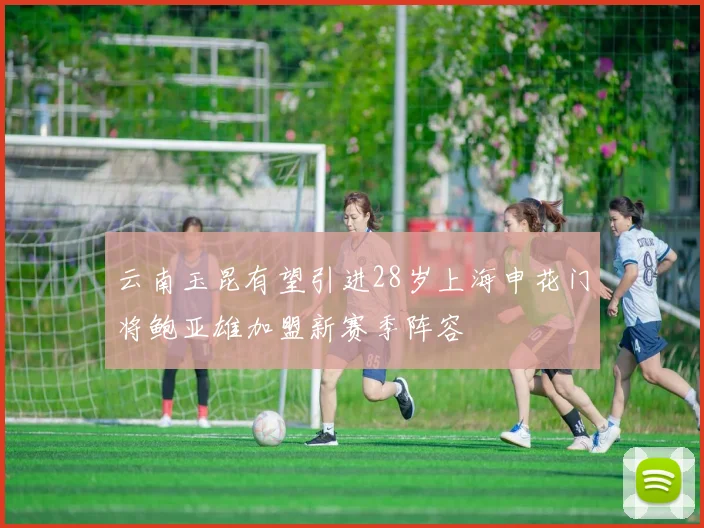 云南玉昆有望引进28岁上海申花门将鲍亚雄加盟新赛季阵容