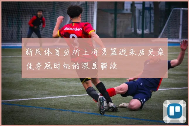 新民体育分析上海男篮迎来历史最佳夺冠时机的深度解读